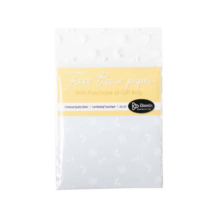 Divinity Boutique - Wholesale Gift Bag - Gift Bag: Let Your Light Shine(Matthew 5:16)8