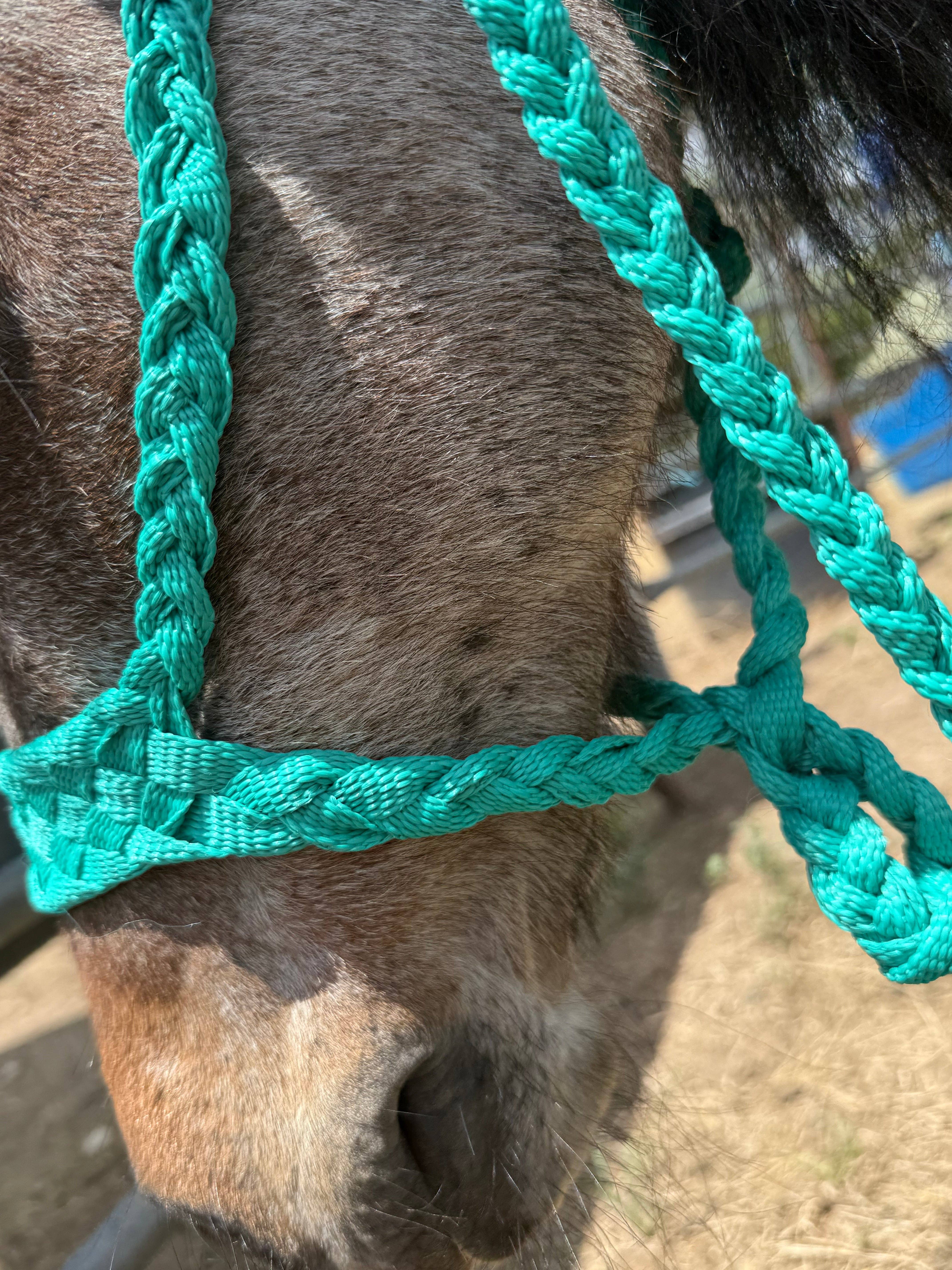 Wilder Trading Company – wholesale Horseback riding gear – Custom Halter & Lead Rope9