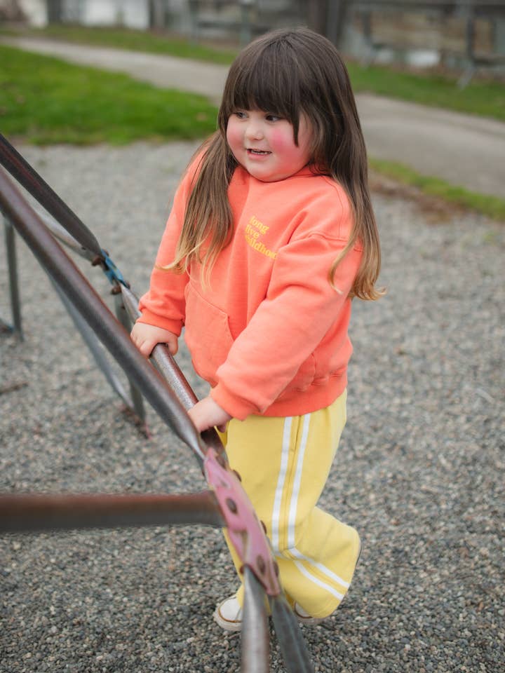 GOOD OLD DAYS HOODIE — PAPAYA for wholesale by Toast & Jam