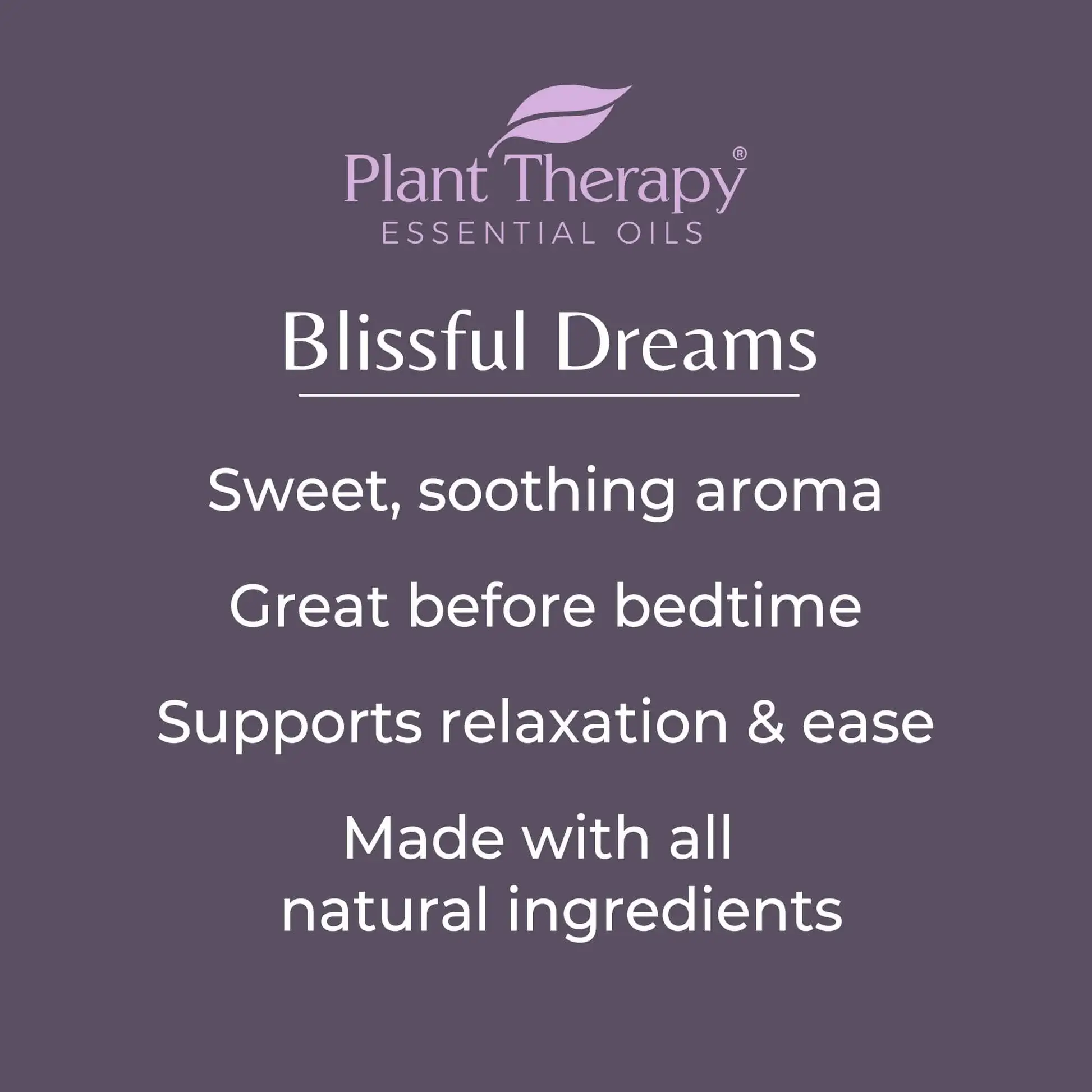 Plant Therapy - Vendita all'ingrosso Spray per tessuti e ambienti - Spray per cuscino Blissful Dreams™ alla lavanda 237 ml4