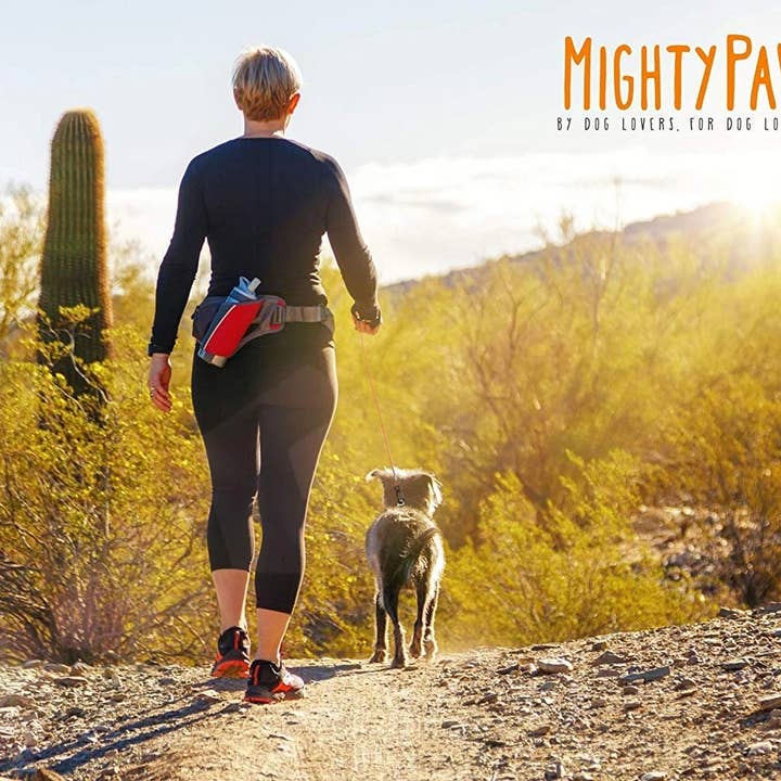 Mighty Paw - Vente Laisse – chien - Laisse de câble anti-mâcher de 6 po8