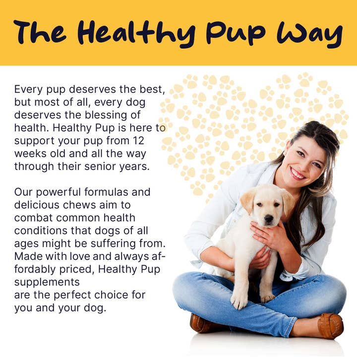 Chew + Heal - Wholesale Pet Supplement - Dog - Healthy Pup Multi Max All-In-One Dog Multivitamin, 120 count