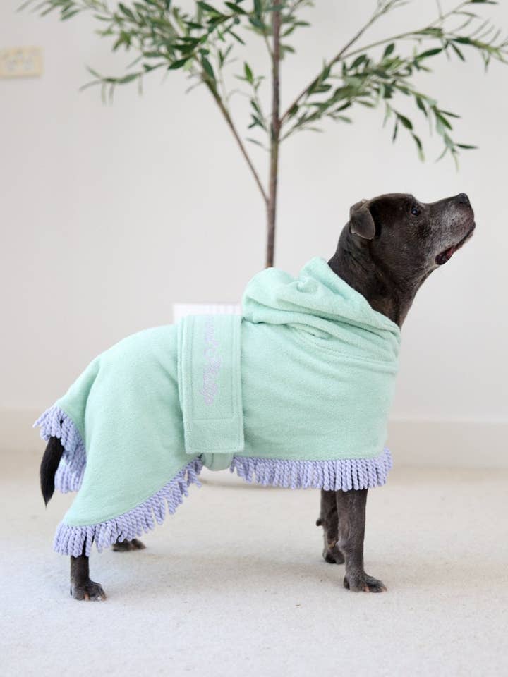Albornoz calmante para perros Tassel Towel de tela French Terry | Verde menta para venta al por mayor de Darren & Phillip