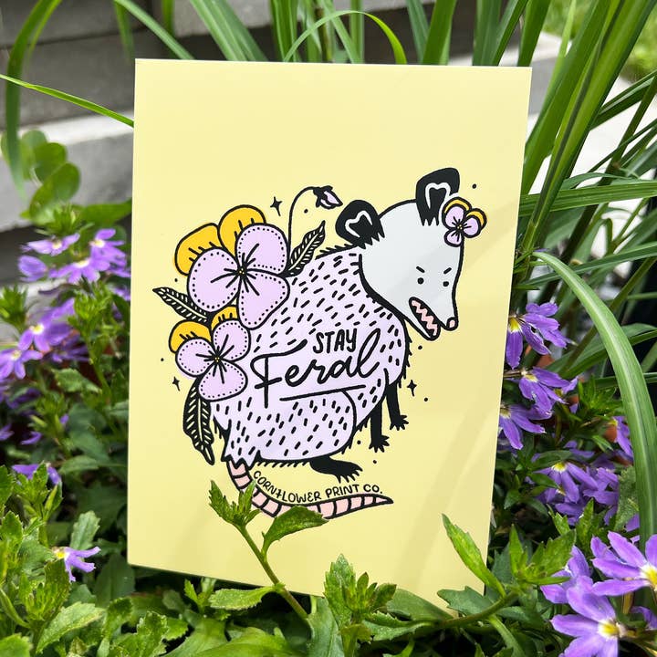 Postcard | Stay Feral Opossom for wholesale by Cornflower Print Co.