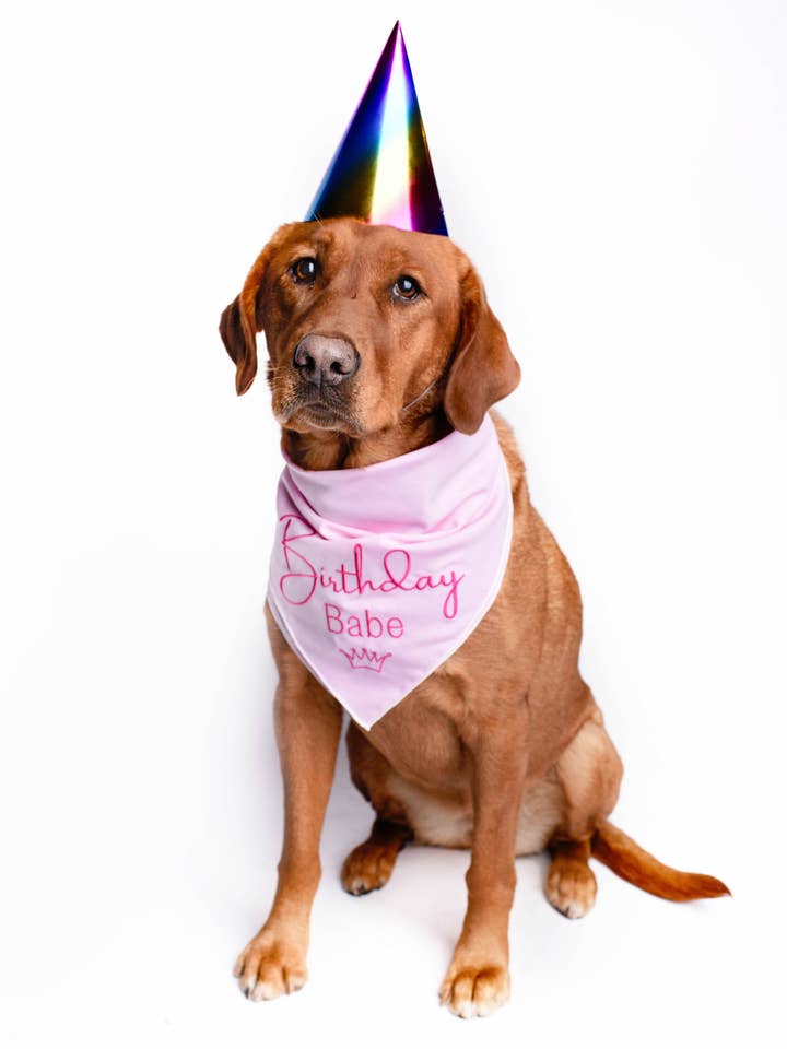 Geborduurde bandana voor verjaardagsmeisjes voor wholesale door Kendall Wags