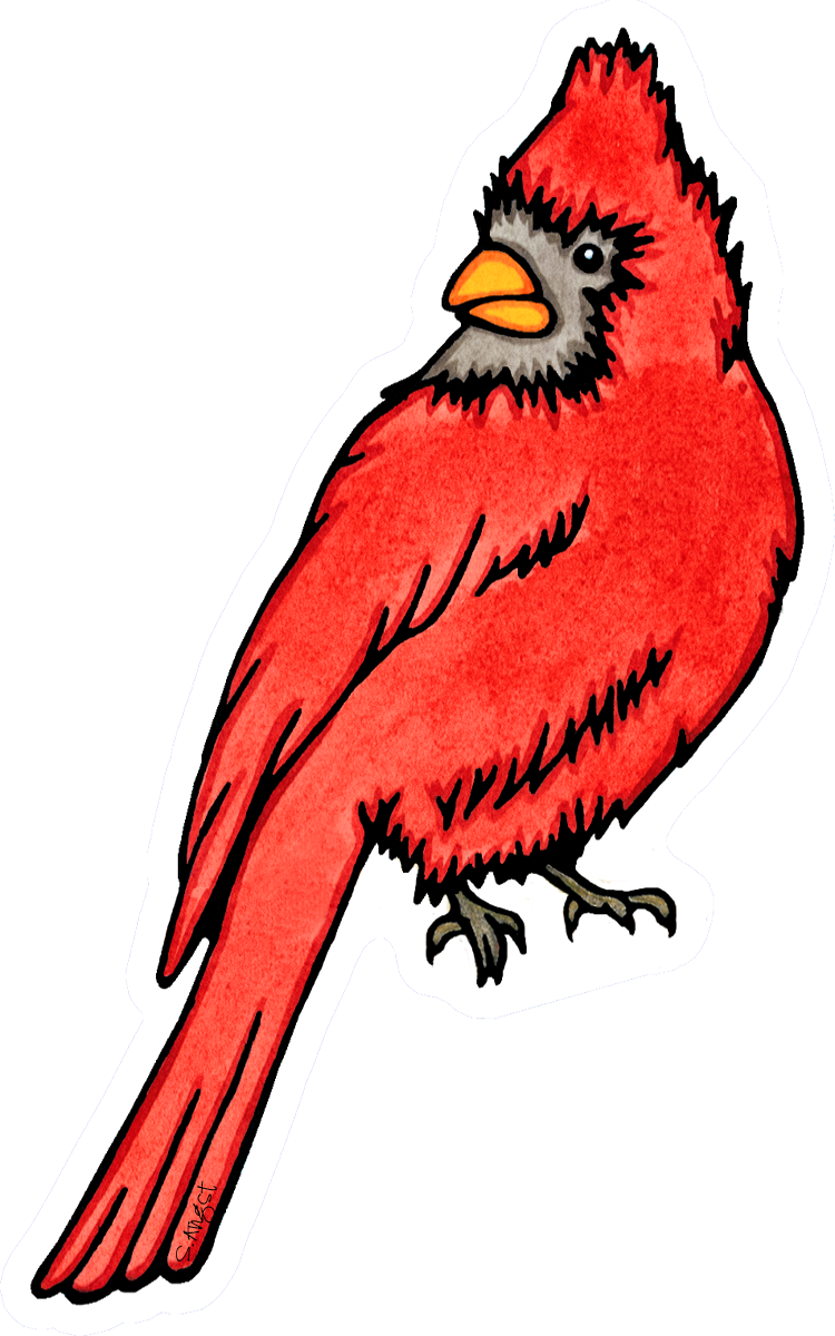 Sarah Angst Art - Wholesale Sticker - Vinyl Sticker Cardinal1