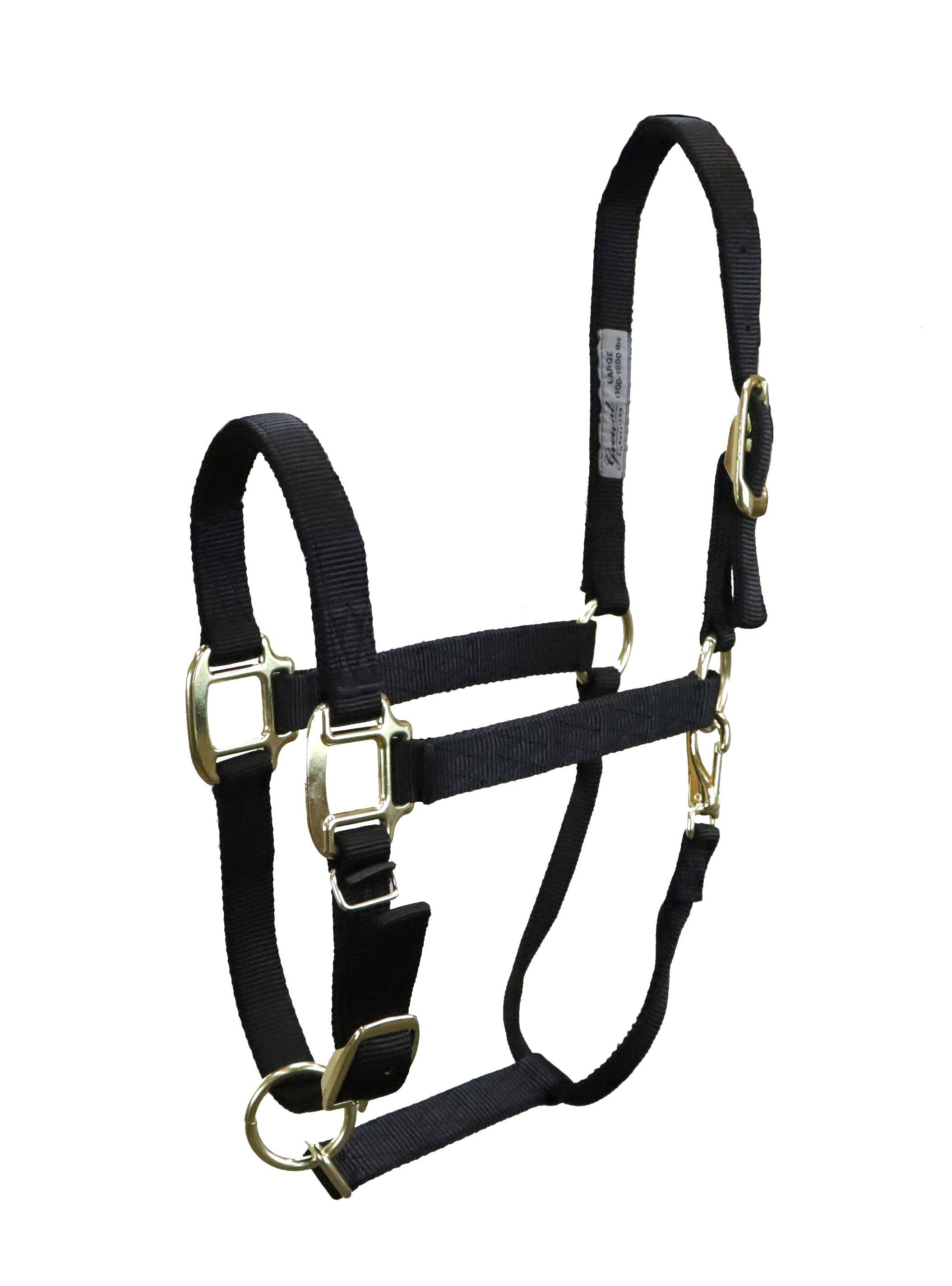 Grewal Equestrian - Wholesale Paardrijuitrusting - Nylon hoofdstellen voor paarden0