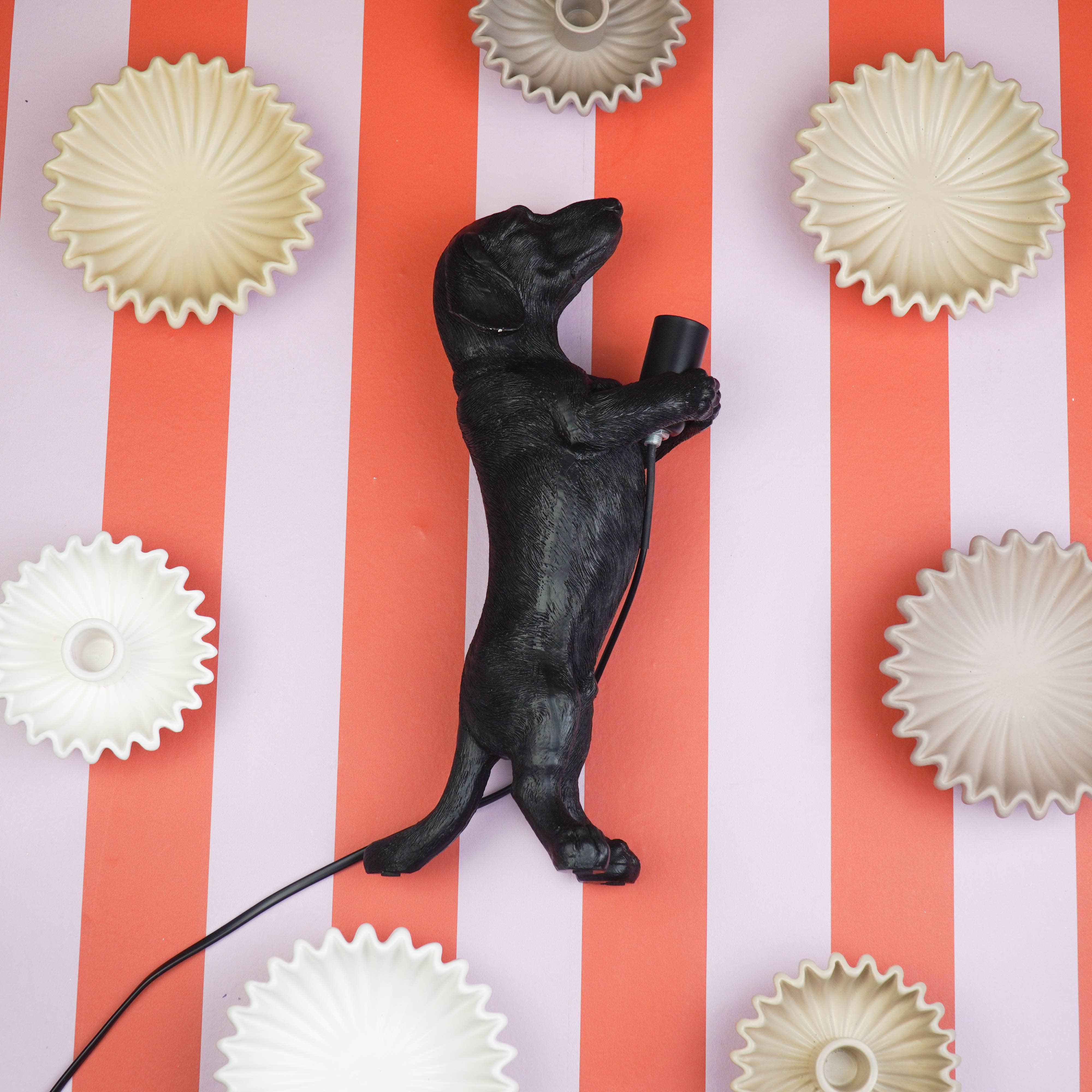 Noir Lampe de table - Lampe Teckel - Polyrésine - Noir - E14 - 10x15x38cm en vente sur Faire10