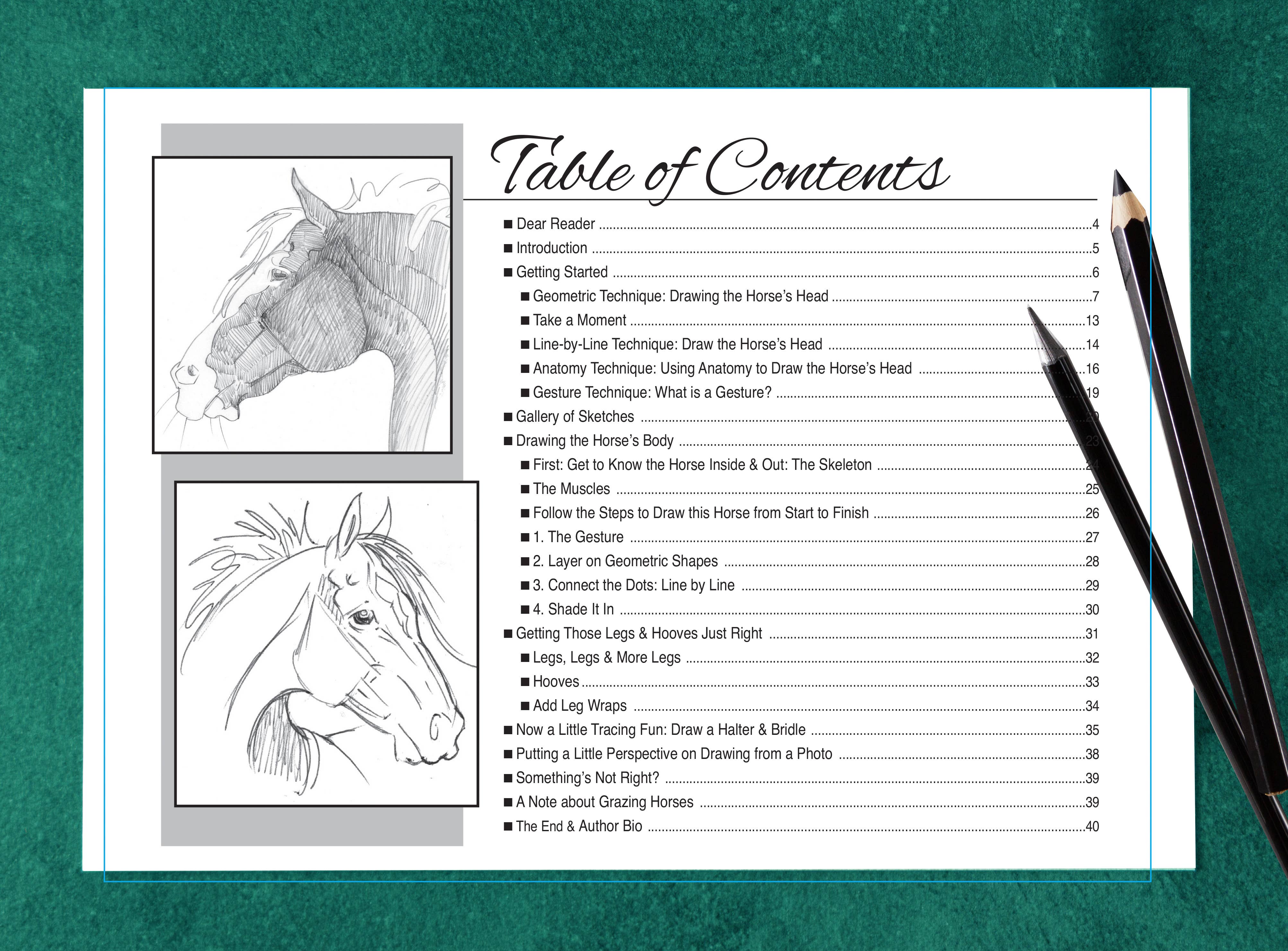 Horse Hollow Press / Pretty, Funny, Snarky Cards & Stickers - Wholesale Coloring & Activity Book - Adult - Art Book Horse Equestrian / Anyone Can Draw Horses / All Age8