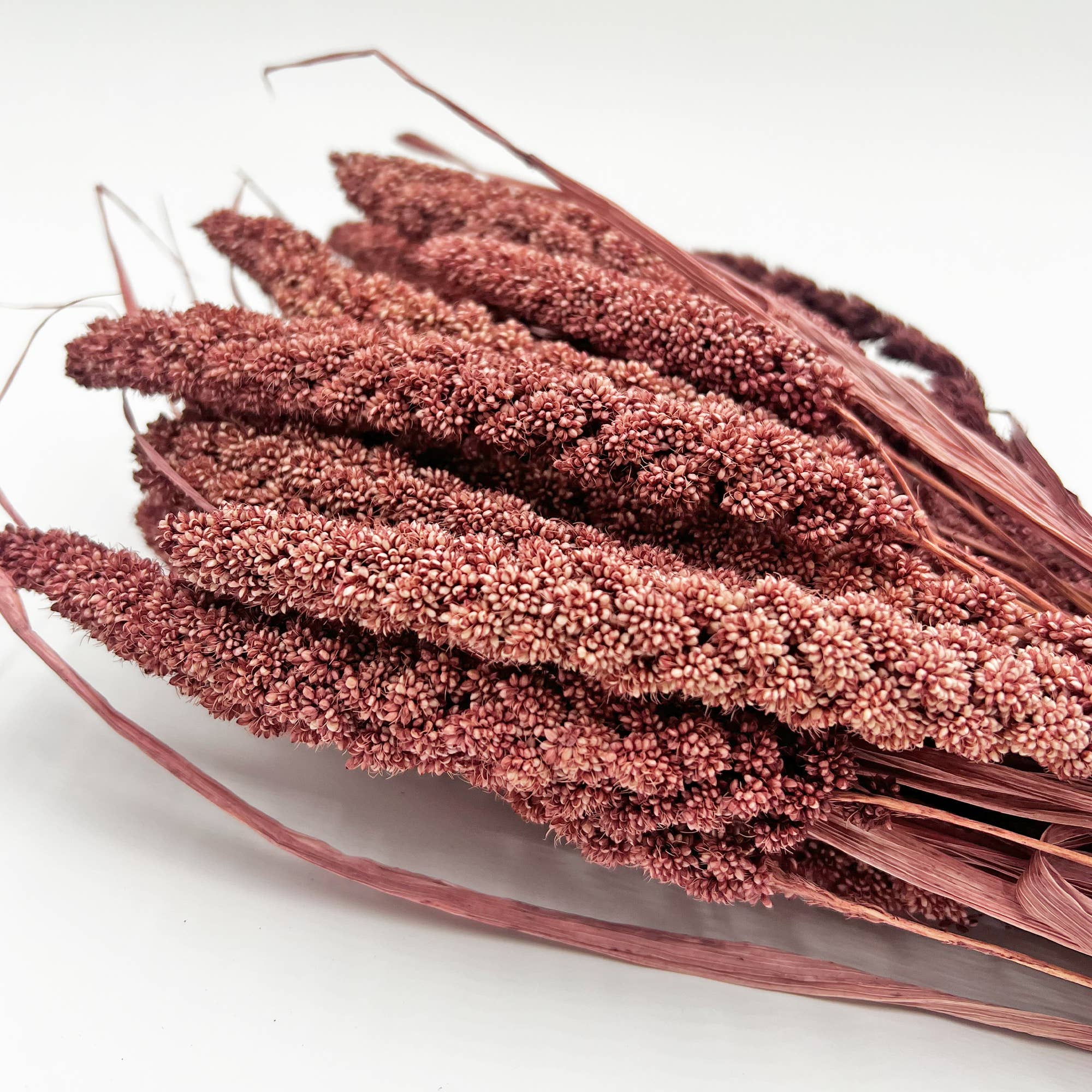 2626 Designs - Wholesale Dried/Pressed Flowers - Dried Preserved Millet Flower 21" Multiple Colors29