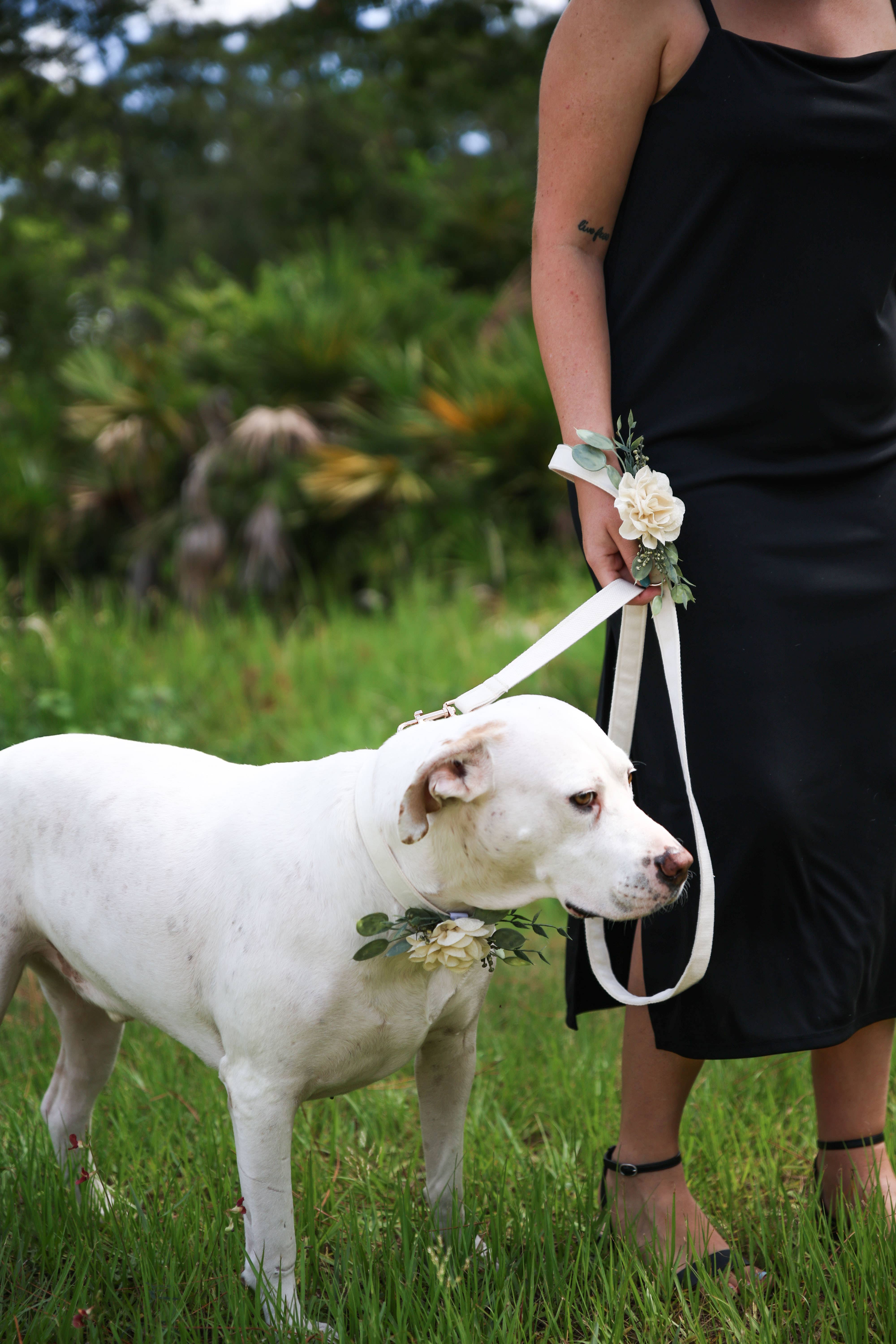 Indy Supply Co - Vendita all'ingrosso Bandana - Cani - Decorazione floreale da inserire per collare da matrimonio per cane | Cane testimone con anello6