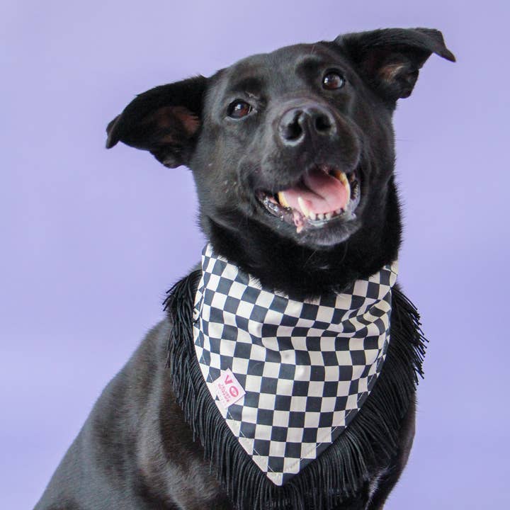 Velvet Outlaw - Wholesale Pet Bandana - Dog - Black & White Checker with Black Fringe Dog Bandana