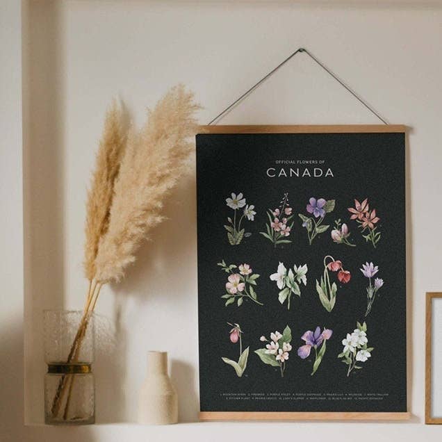 Natasha Vanderburg Co. - Wholesale Art Print - Official Flowers of Canada Art Print