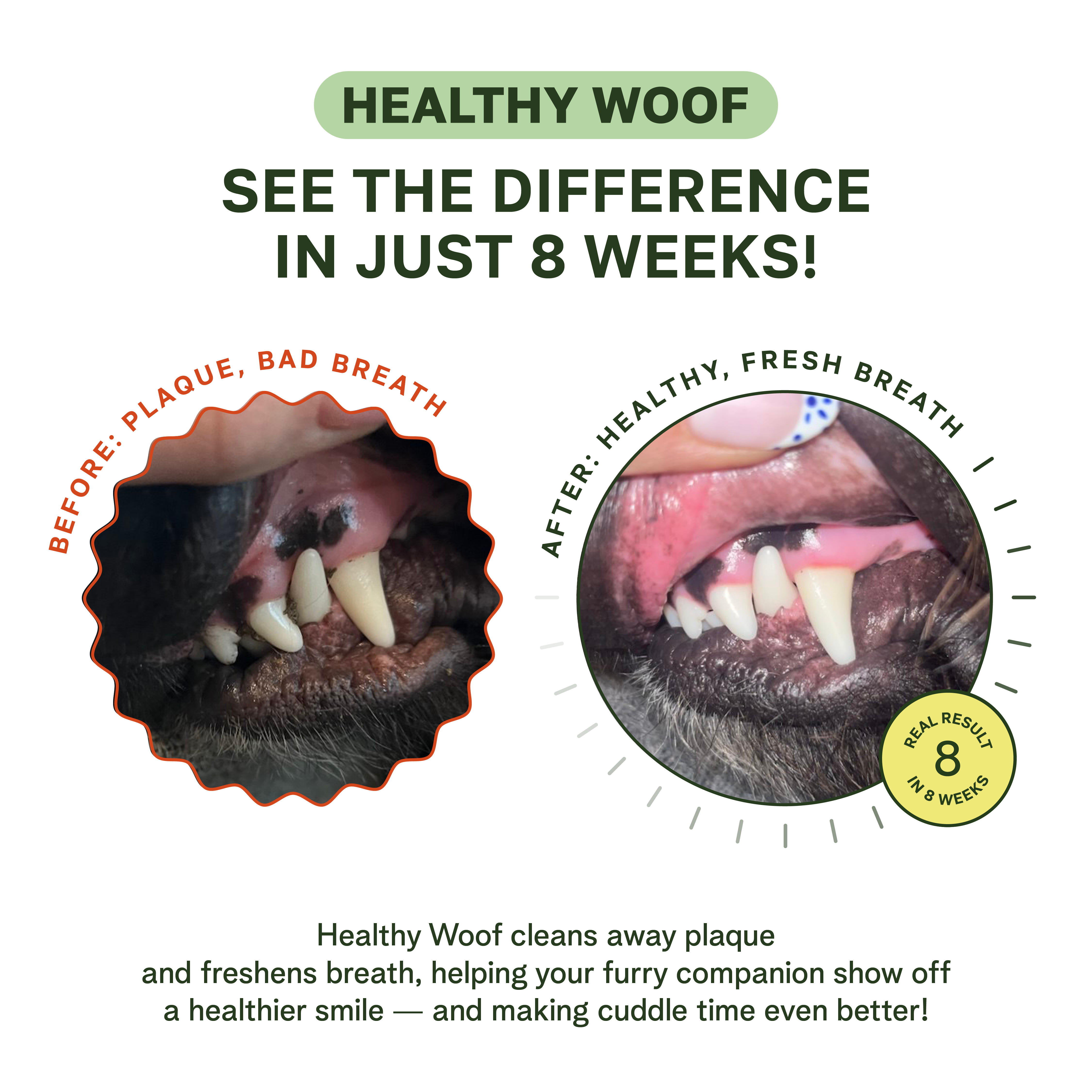Healthy Woof - Wholesale Pet Supplement - Dog - Healthy Woof Dog Dental Powder for Clean Teeth, Big size2