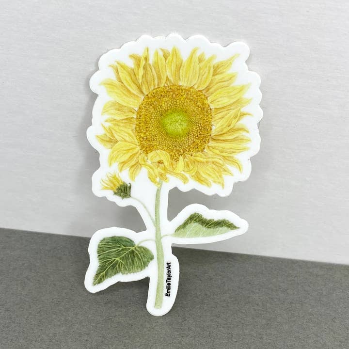 Solros klister för wholesale av Emilie Taylor