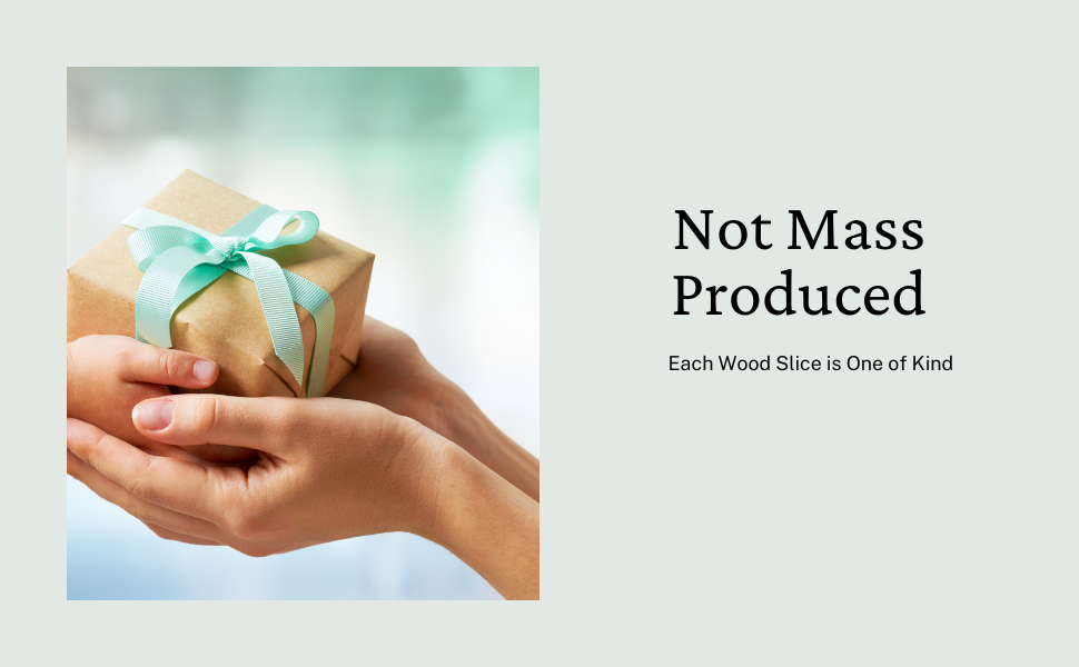 Parks Art Collection - Wholesale Ornament - Whiskey, Guns, Steak, and Freedom, Funny Christmas Ornament4