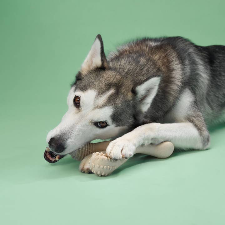 Naomi's Happy Place Shop - Wholesale Pet Chew Toy - Dog - BetterBone MEDIUM Durability CHEW TOY: Perfect Chew for Everyday Chewers | Natural Ingredients, Eco-Friendly, Non-Toxic6