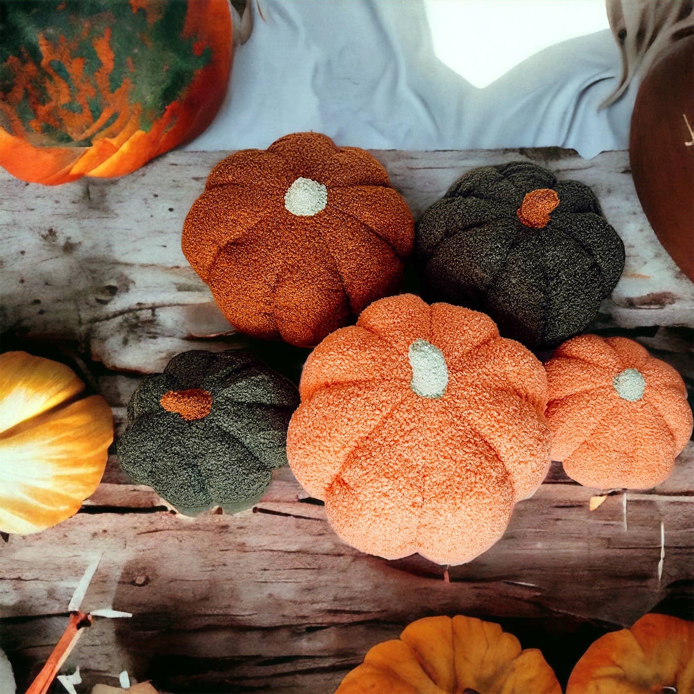 Gia Roma - Wholesale Decorative Tabletop Object - Neutral Fall + Halloween Home Decor, Cute Cotton Pumpkins BW14