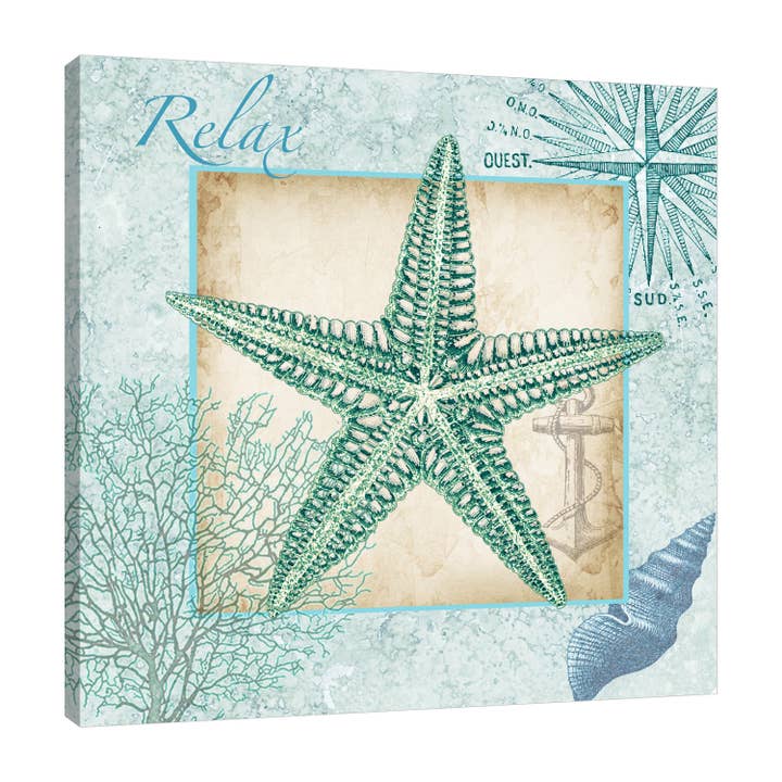 Aqua Shell Starfish Gallery Wrapped Canvas for wholesale by Jaxson Rea
