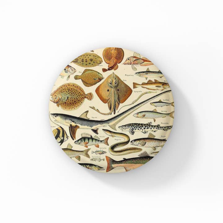 NatureCuts - Wholesale Lapel Pin/Button - Ocean Fish Pin Button, Ocean Fish Keychain, Fish Magnet