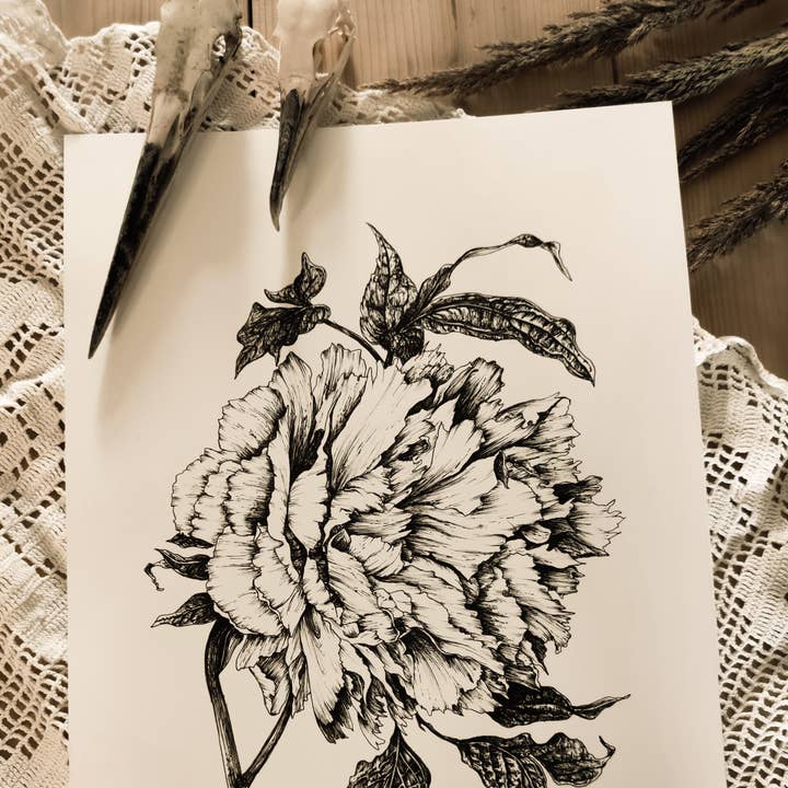 Peony A4 print for wholesale by Glimmer Nox
