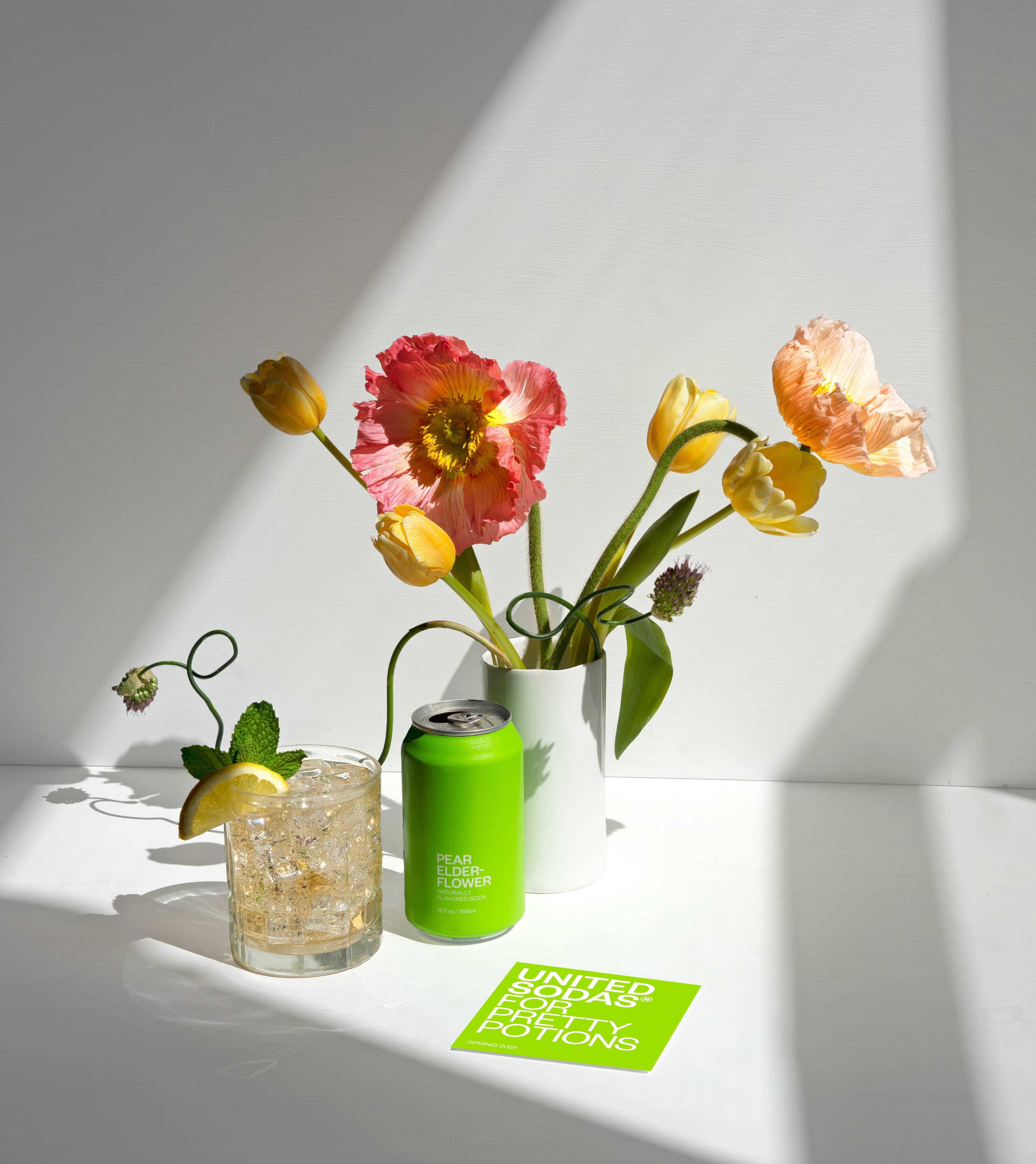 その他 soda Black Cherry (12-Pack) – Fresh Fizz Sodas