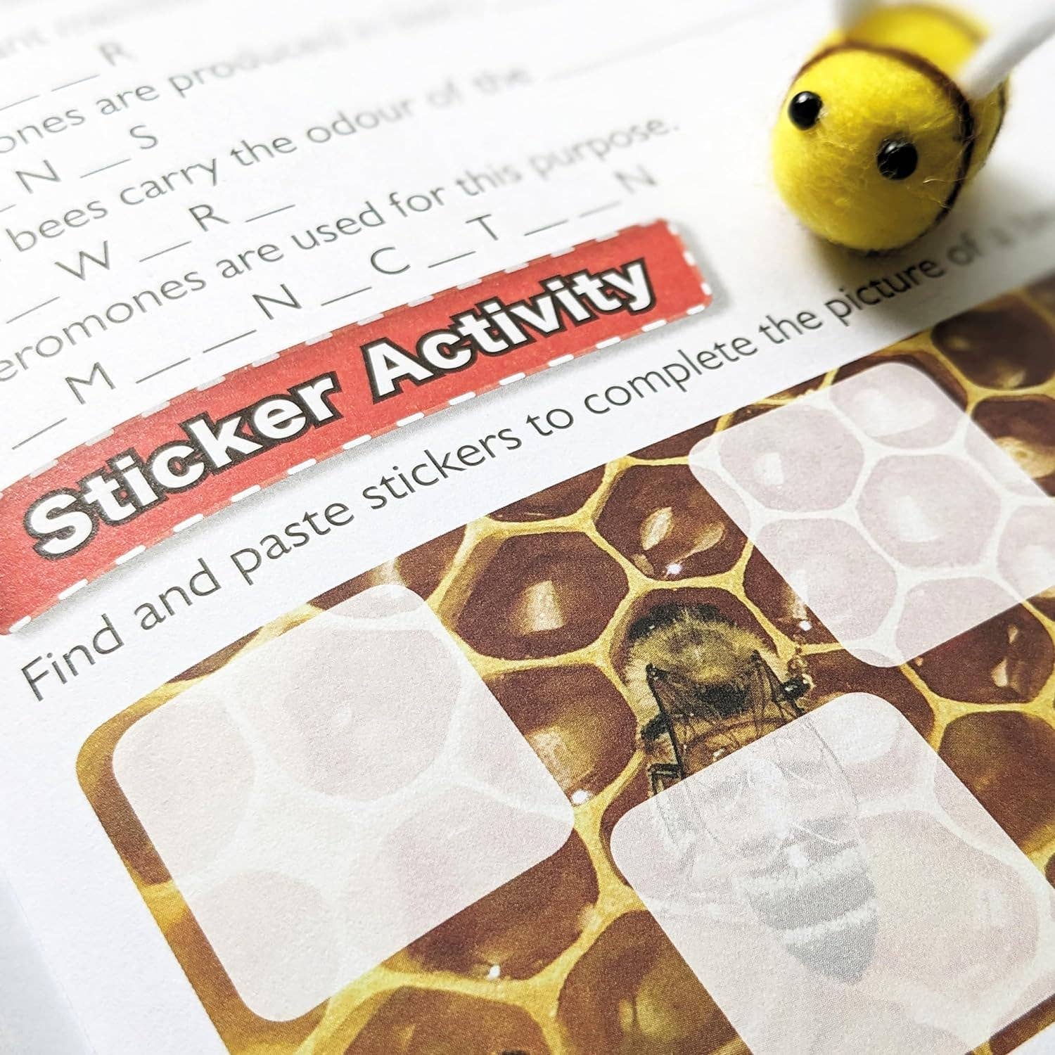 Robert Frederick Ltd – wholesale Sticker – Child & baby – Discover Bees Sticker Book - Find, Stick and Learn5
