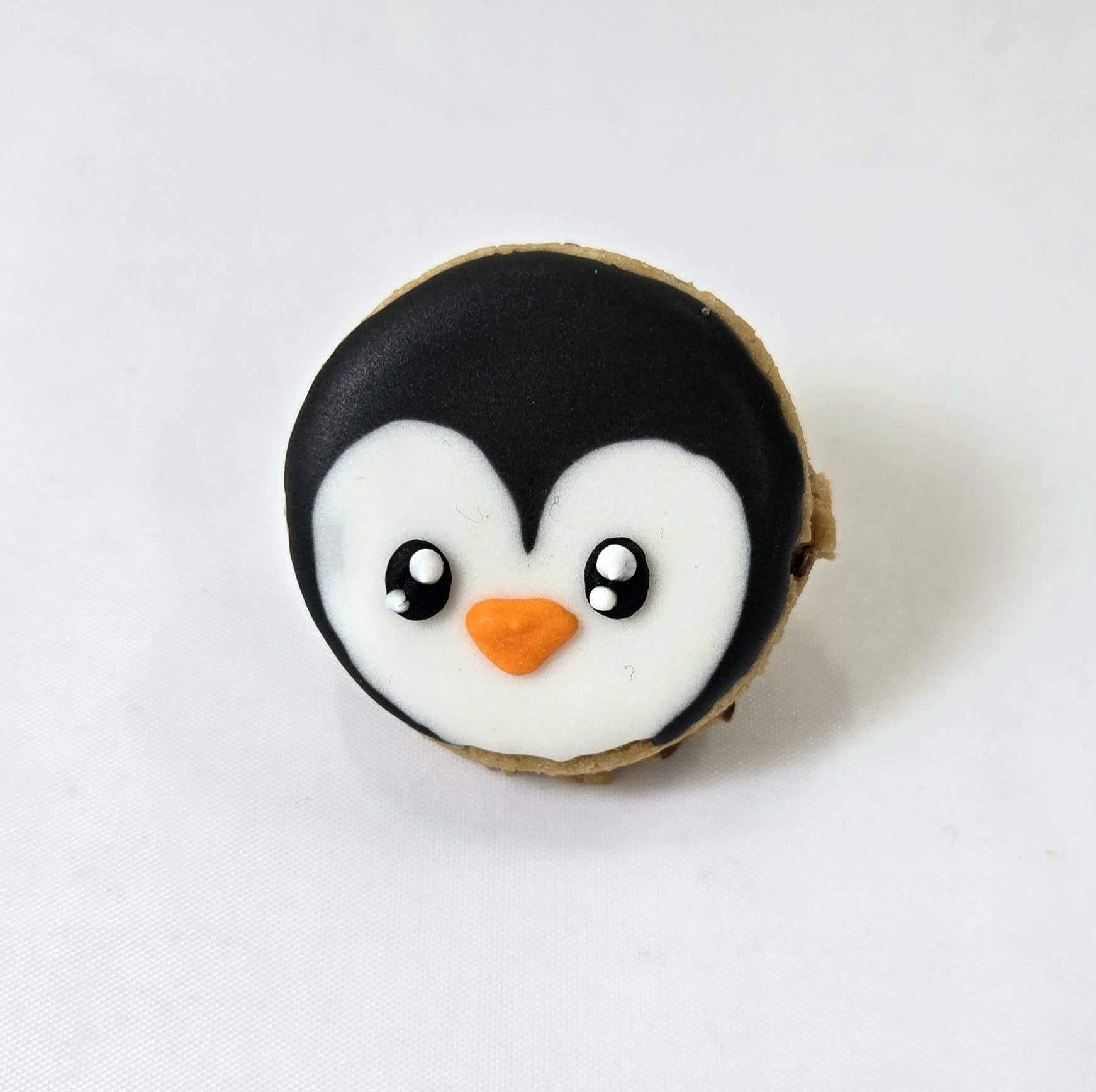 The Doggie Express - Wholesale Pet Treats - Dog - Winter Cookies - Mini2