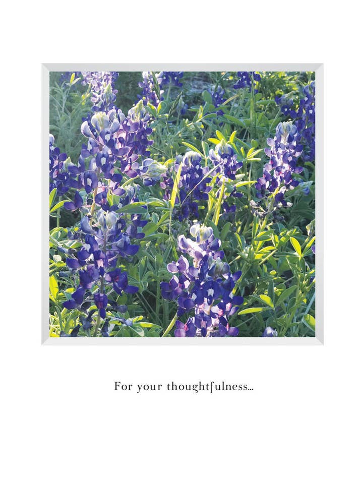 B636 - Bluebonnets pour la vente par Stonehenge Designs