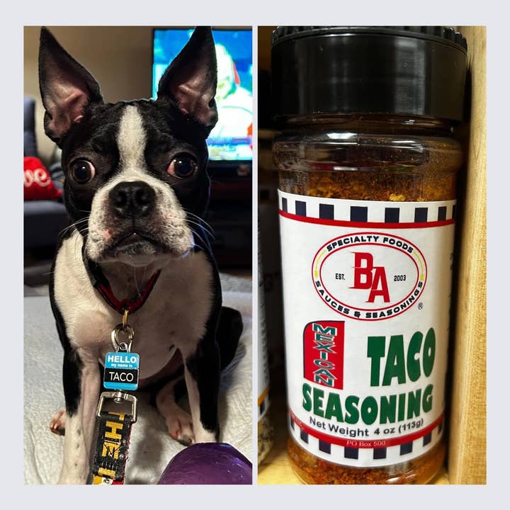 Taco Seasoning - Mexican for wholesale by Burning Asphalt Enterprises LLC