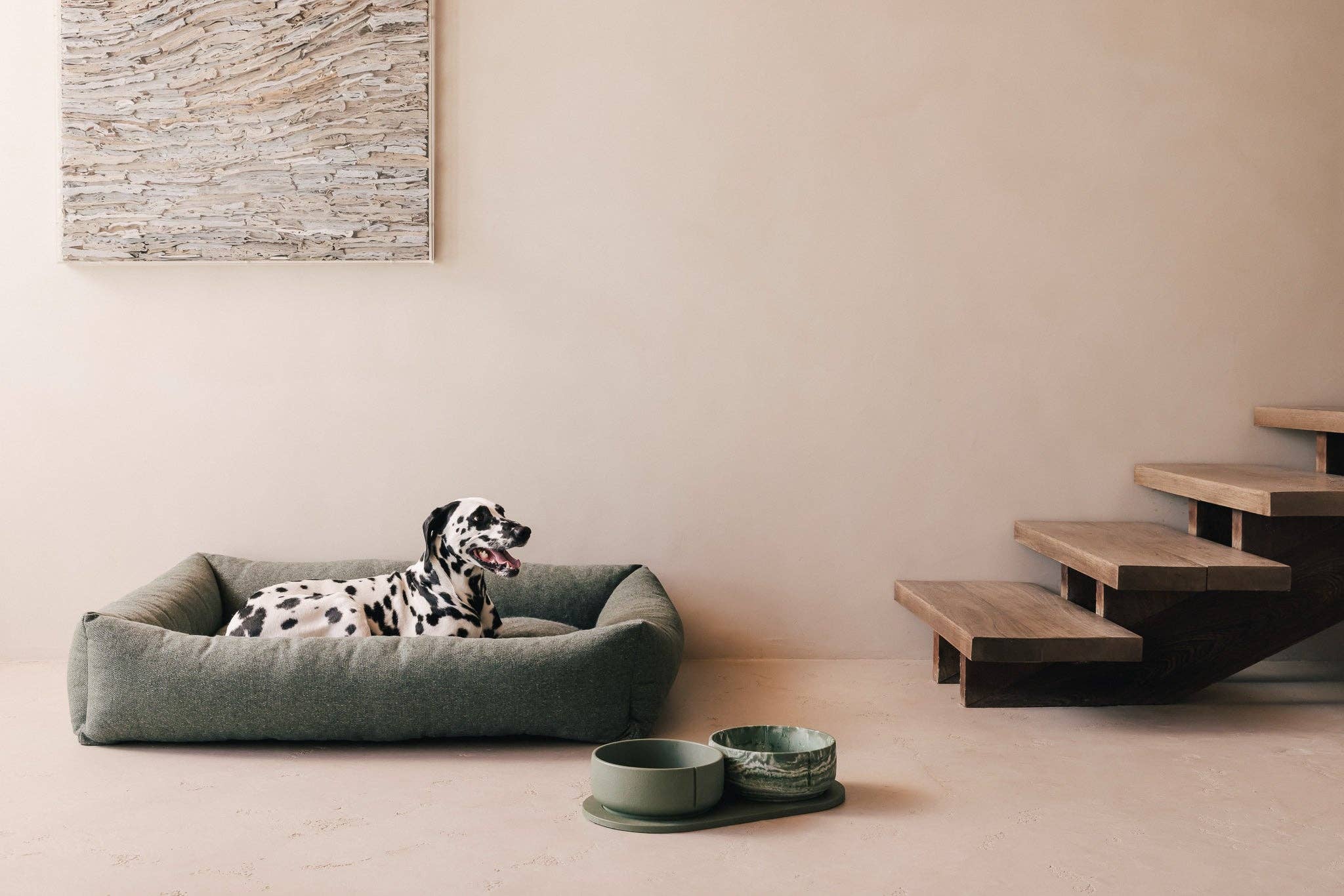 PINO – Engroshandel Kæledyrsskål – Hund – Klassisk skål24