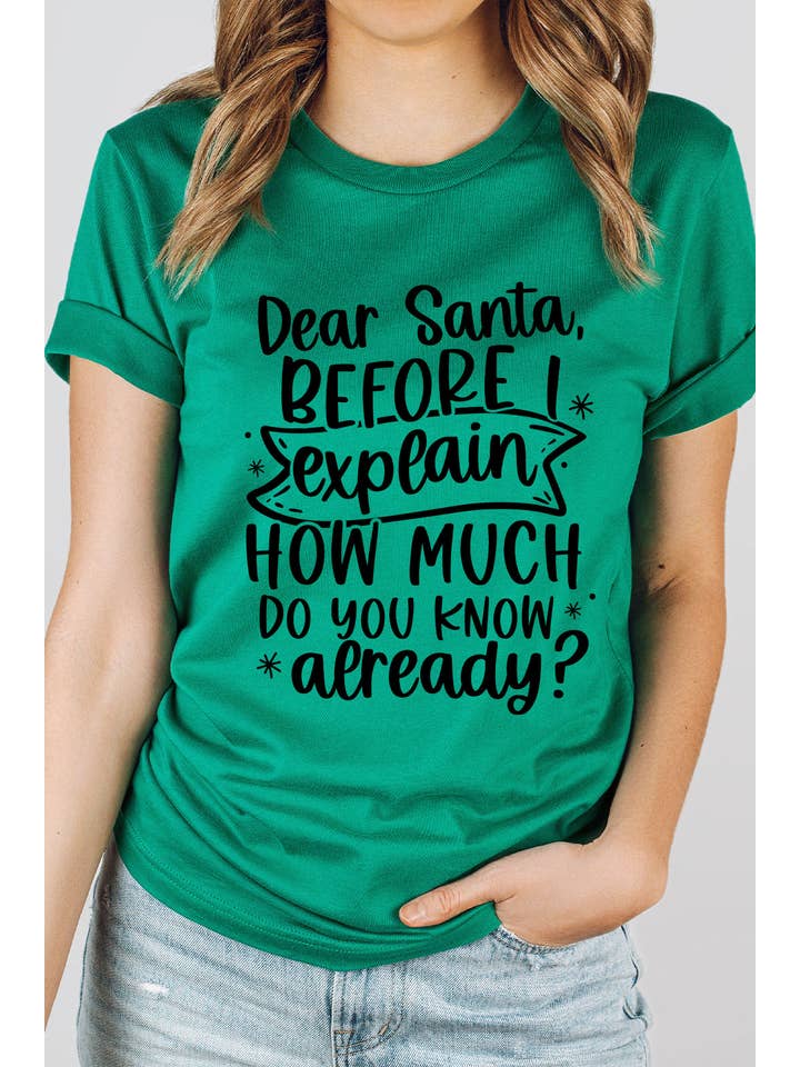 Select Apparel - Wholesale Screen printed t-shirt – Women′s - Dear Santa How Much Do you Know Graphic Tee2