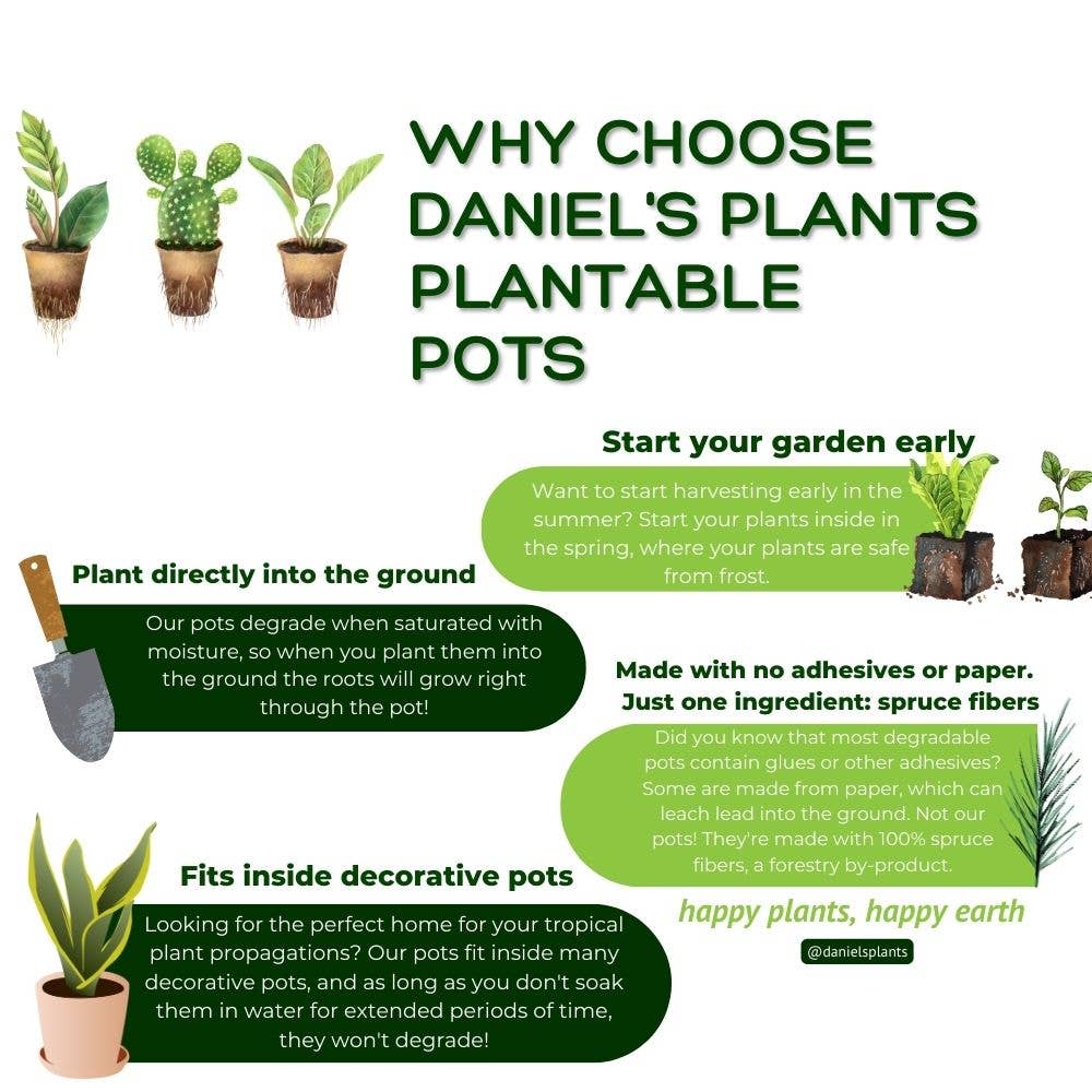 Daniel's Plants - Wholesale Plant Pot - NO DUTIES 4" Naked Pots | Plantable Seed Starter Pots8