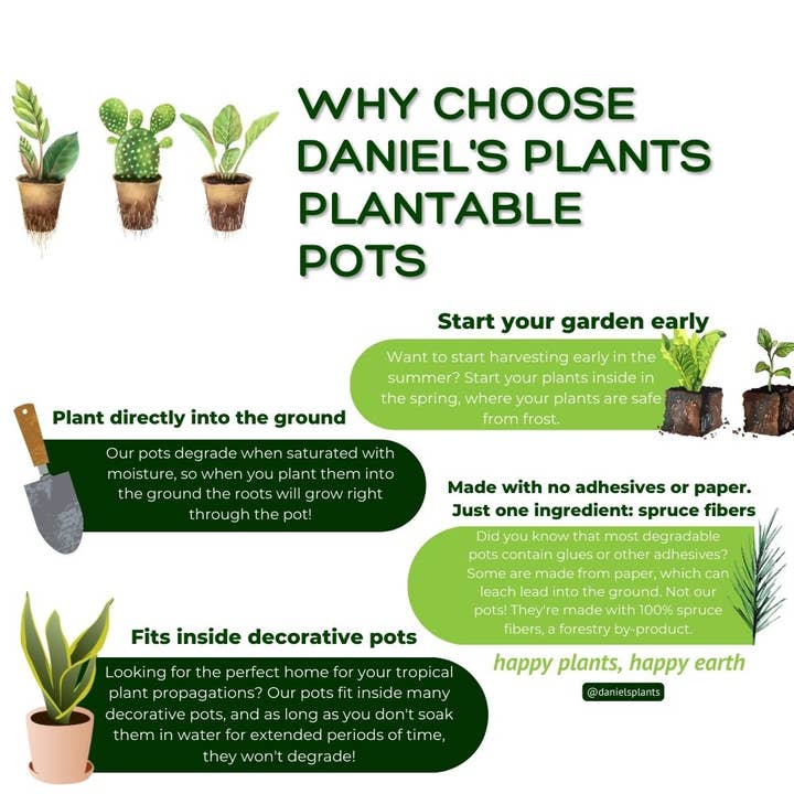 Daniel's Plants - Wholesale Plant Pot - NO DUTIES 4" Naked Pots | Plantable Seed Starter Pots8