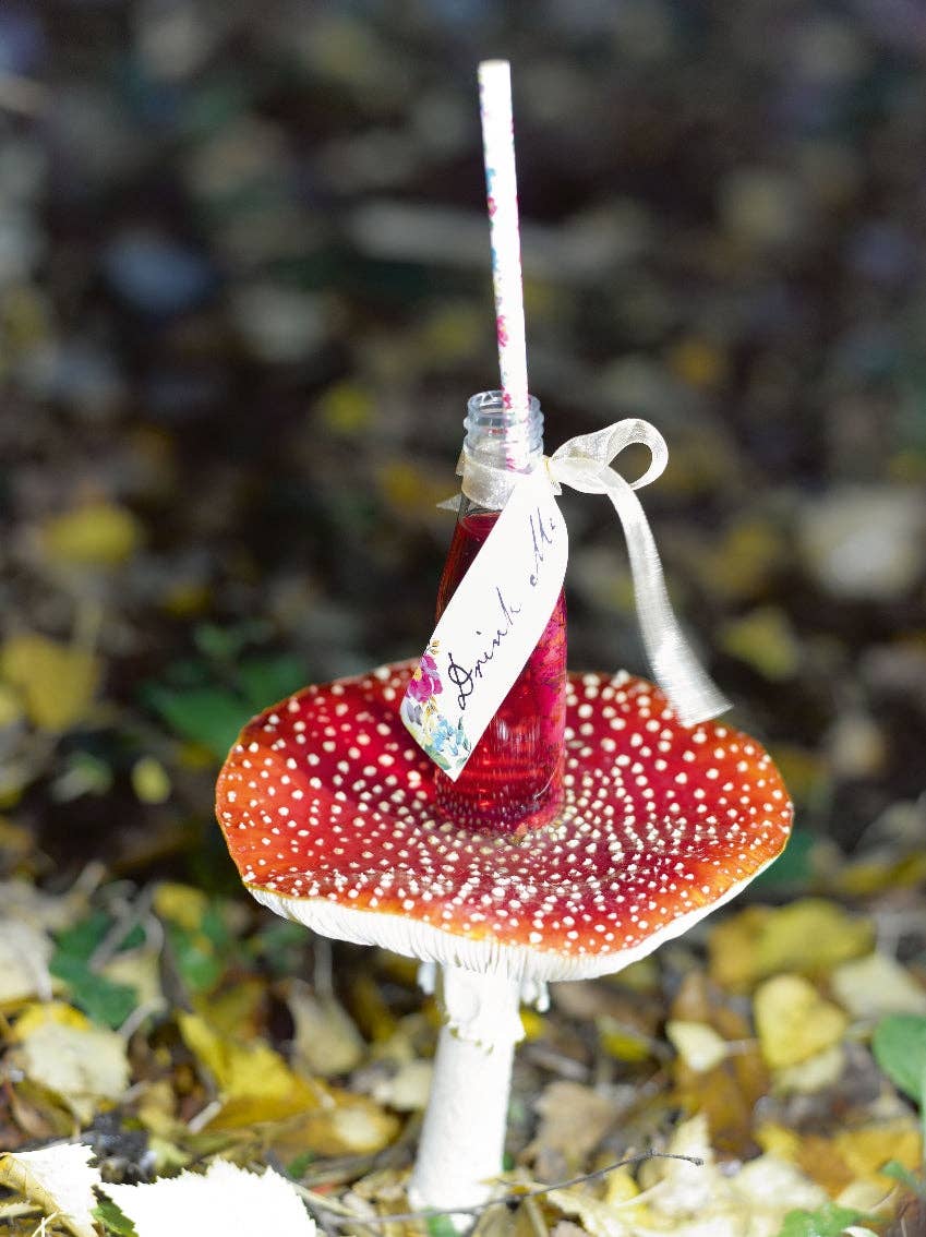 Talking Tables USA - Wholesale Party Favor - Alice in Wonderland 'Drink Me' Set | Tea Party |3