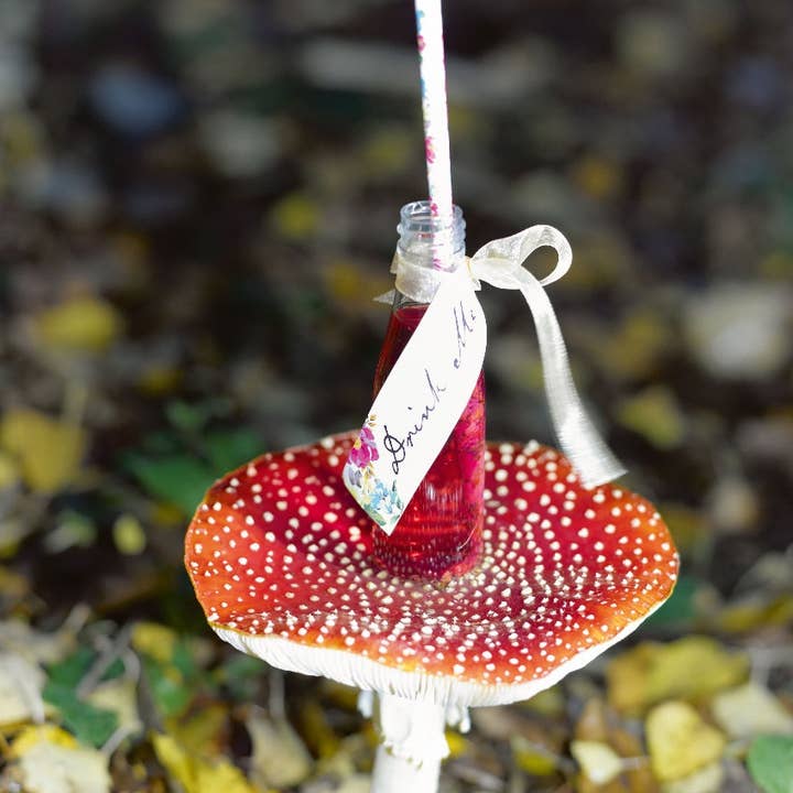 Talking Tables USA - Wholesale Party Favor - Alice in Wonderland 'Drink Me' Set | Tea Party |3