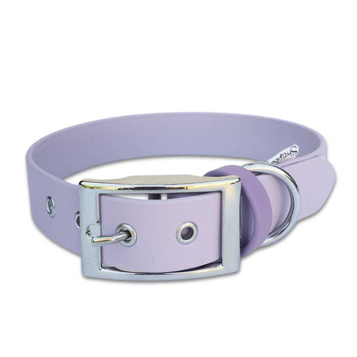 Collar para perro Lilas, Biothane hecho a mano en Francia para venta al por mayor de Stylidog