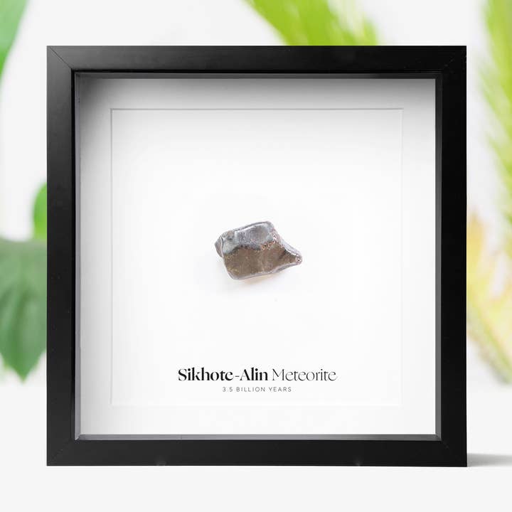 XL Sikhote-Alin Meteorite Verklig Autentisk Meteorboxram för wholesale av Curated Studio
