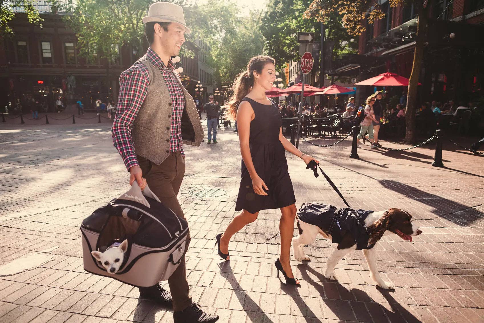 One for Pets - Wholesale Pet Carrier - Cat/Dog - The Deluxe Cozy Pet Carrier7