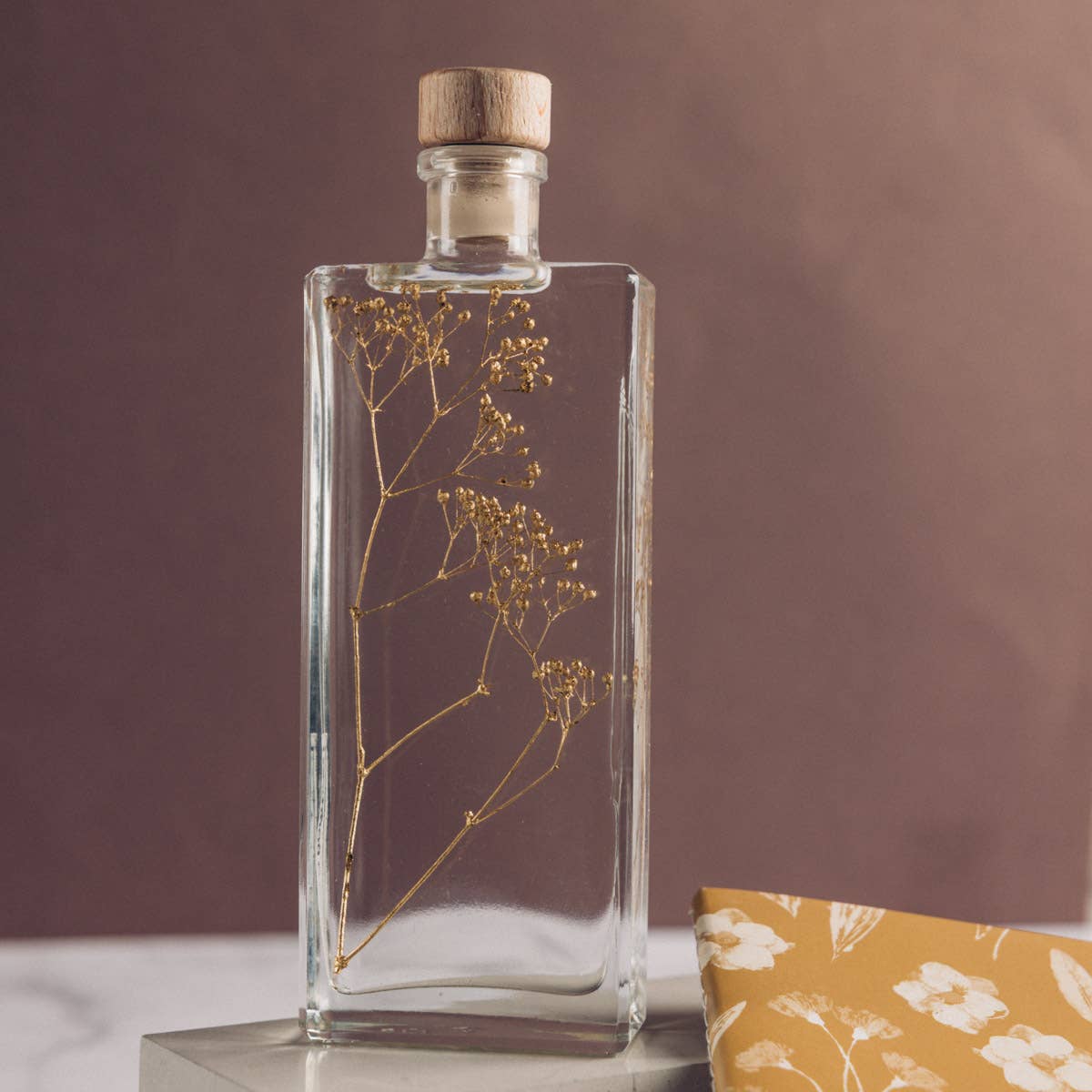 Theophile Berthon - Vente Plante - L'Herbarium Gypsophile Or - plante immergée13