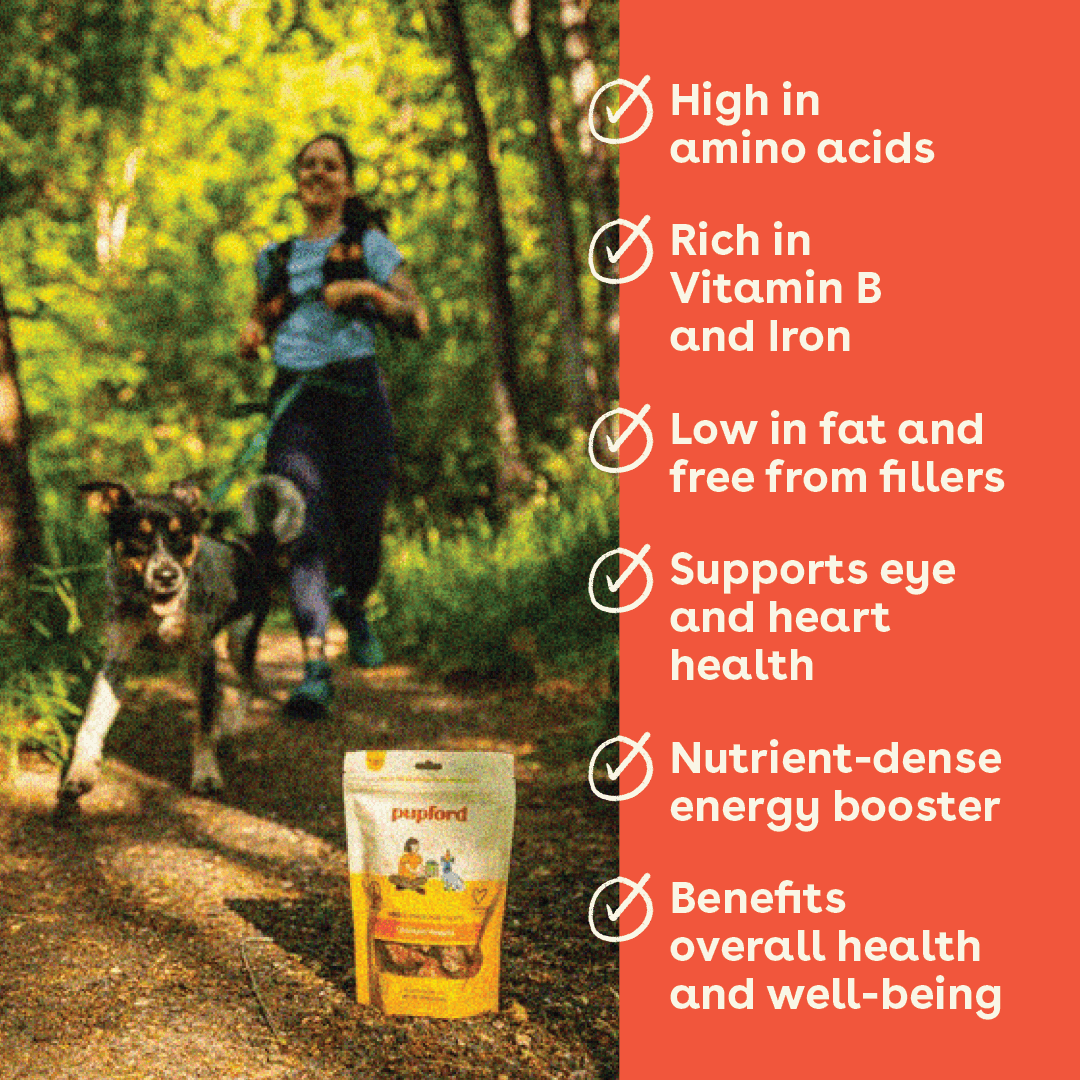 Pupford - Wholesale Pet Treats - Dog - Freeze Dried Chicken Hearts 4.25oz3