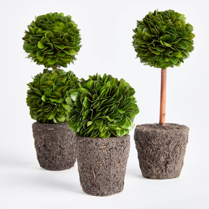 GRØN Boxwood Mini Topiary Drop-Ins for engroshandel på Faire3