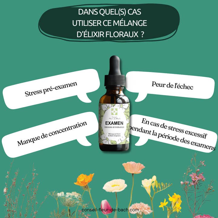 Conseil fleur de Bach – wholesale Oralt tillskott/Vitamin – Bachblommor Examen