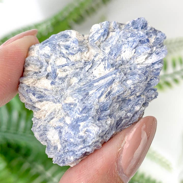 Blue Kyanite Crystals Flat Large ( 20 to 30 Pieces ) for wholesale by Yellow Tree Company