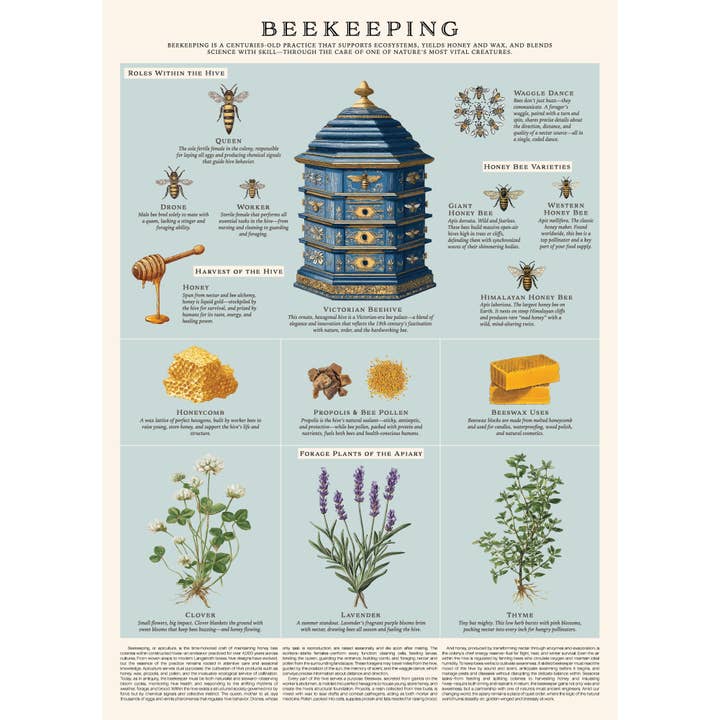 Vintage Posters Wrapping Paper - Beekeeping for wholesale by 123 Farm