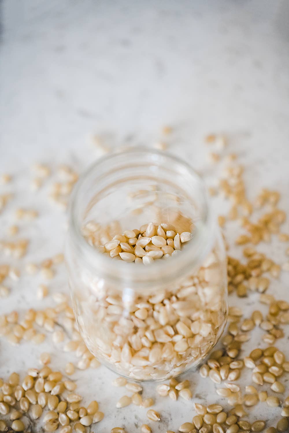 Amish Country Popcorn - Wholesale Popcorn - 25lb. Bag of Medium White Hulless Popcorn2