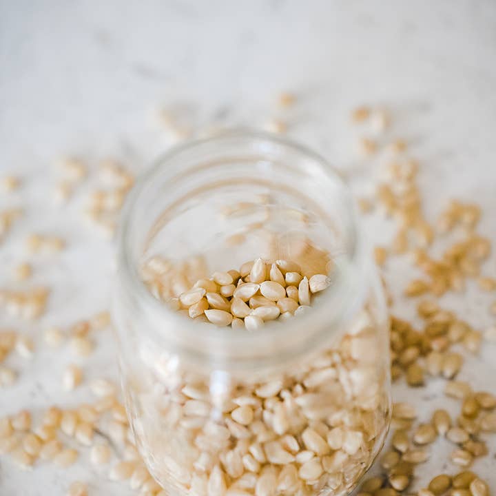 Amish Country Popcorn - Wholesale Popcorn - 25lb. Bag of Medium White Hulless Popcorn2