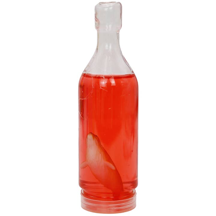 Cap Zone - Wholesale Putty/Slime - Kids - Sea Life Figurine Translucent Gel Slime Bottle
