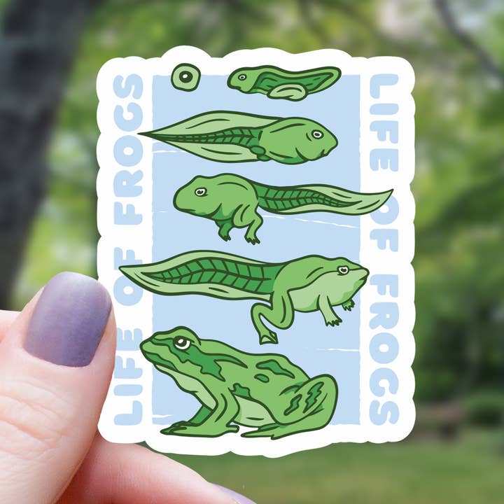 Frog Lifecycle Science Sticker - 3" for wholesale by Mimic Gaming Co
