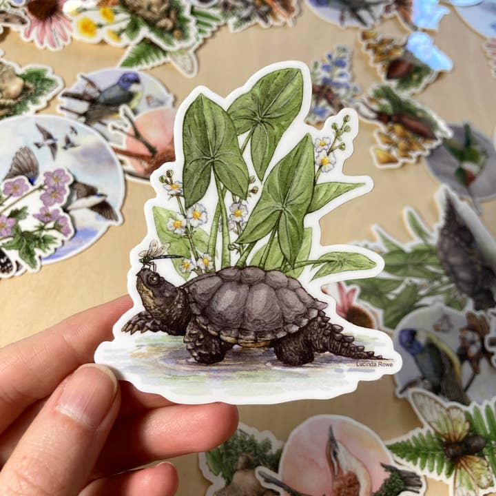 Lucinda Rowe Art - Wholesale Sticker - Vinyl Sticker - Snapping Turtle with Common Arrowhead